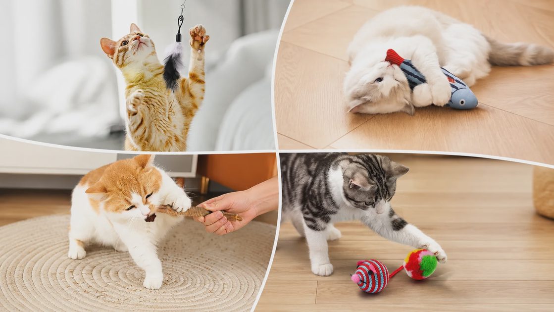 Cat Toy Variety Pack: A Vet's Take on Feline Enrichment