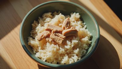 Bland Dog Food for Upset Stomach: A Veterinarian's Practical Guide